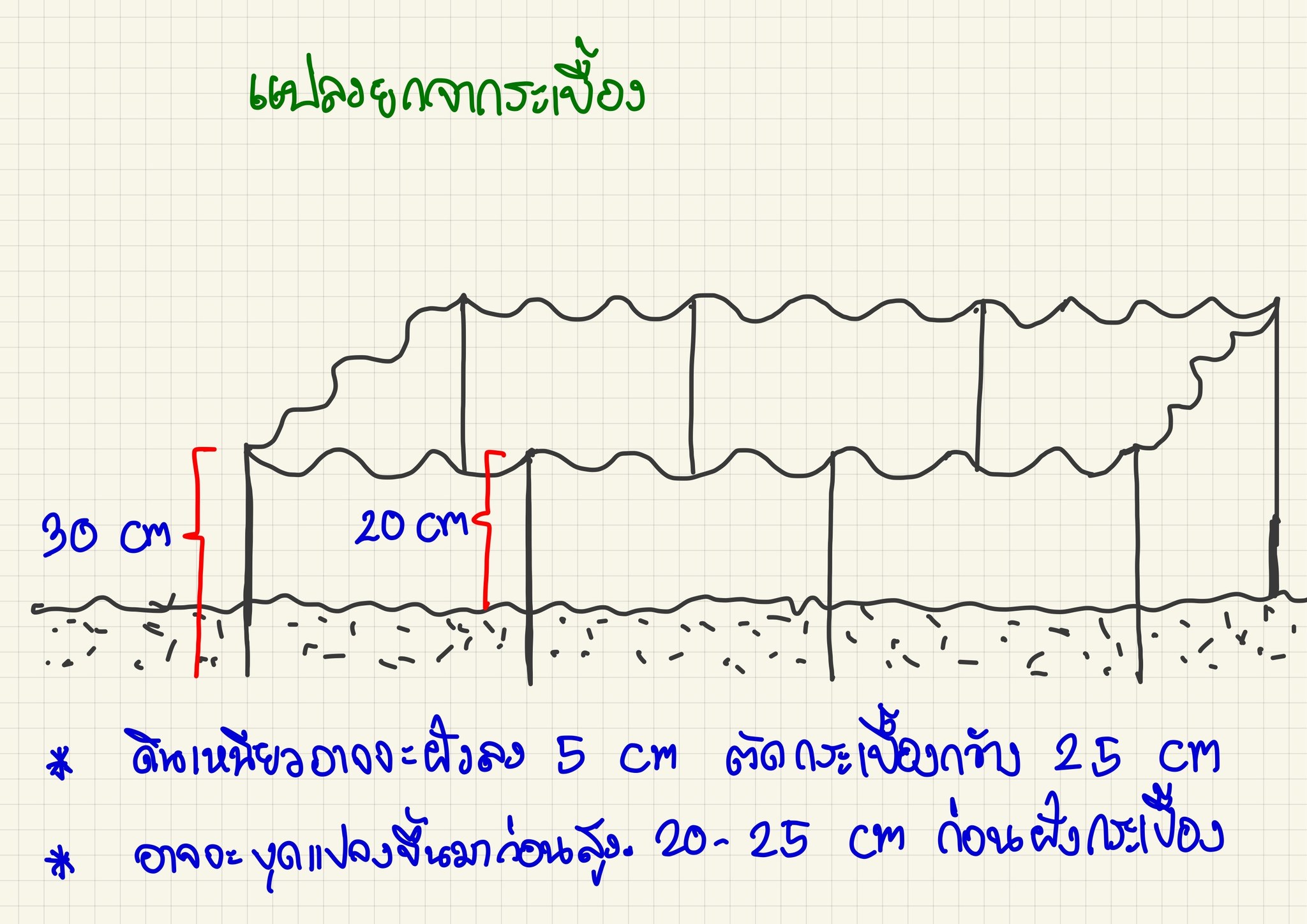 313993620_412108941137005_5519119902812940414_n-1
